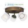 Bronze Philips 533330616, накладной светильник &gt; Spotlights